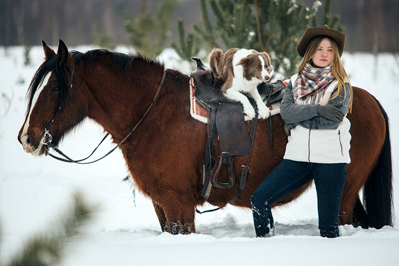 пастушья служба