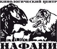 Nafani Logo